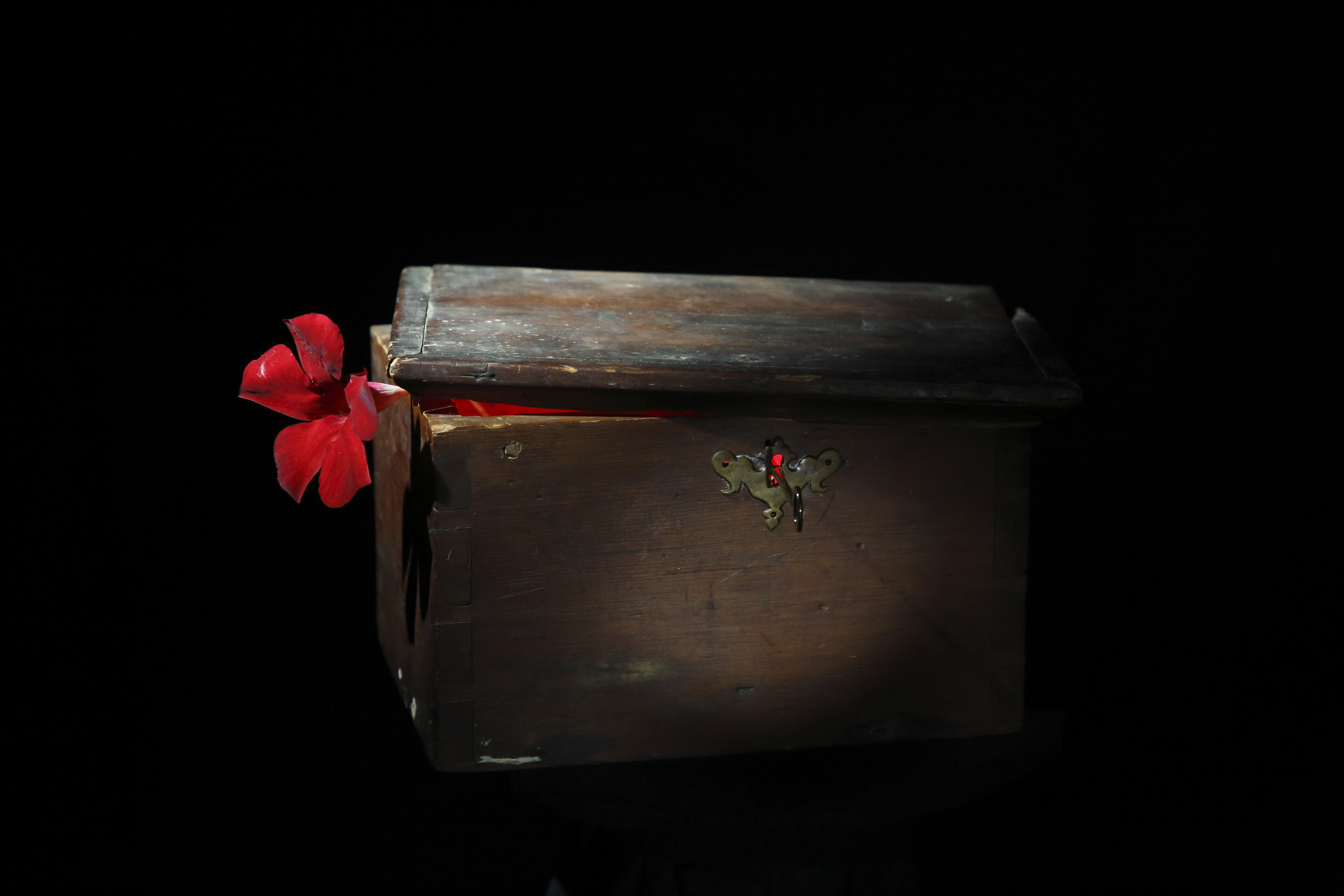 Words & Images by TBH